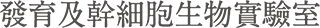 發育及幹細胞生物實驗室 Logo